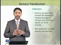 Sensory Transduction | Animal Physiology and Behavior (Theory) | ZOO502T_Topic047