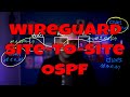 Adding OSPF (Bird2) to your WireGuard Hub and Spoke Site-to-Site VPN