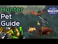 Guide to Hunter Pets in Midnight | Best Pets Specs, Pet Families, and Pet Movement Tips