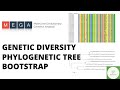 Building phylogenetic tree with Bootstrap value, Intra\u0026 Interspecific diversity analysis using MEGA