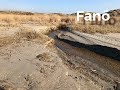 Fanö Dänemark 2019 Part2