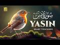 Surah Yasin (Yaseen) سورة يس | Beautiful Voice Heart Touching Quran | Zikrullah TV