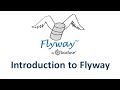 Flyway Tutorial - 1.Introduction to Flyway and need for database migration tools