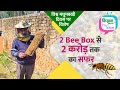 World Bee Day 2022: सिर्फ़ 2 बक्सों से शुरू की Beekeeping, जानिए कैसे करें मधुमक्खी पालन?
