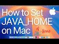 How to Set JAVA_HOME on Mac | Setting Up JAVA_HOME on macOS (2026)