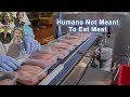 Why Humans Were Actually Not Meant To Eat Meat