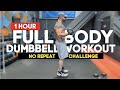 NO REPEAT | 1 Hour Dumbbell Full Body Workout At Home challenge