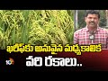ఖరీఫ్‌కు అనువైన మధ్యకాలిక వరి రకాలు.. | Paddy Varieties Suitable for Kharif | Matti Manishi | 10TV