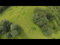 Yesterdays flight with the thugpig and sp3 evo with betaflight 2.9.0