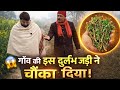 ये दुर्लभ जड़ी-बूटी शरीर को बना देगी Iron Man? | Natural Immunity Secret Podcast | AyurvedicBenefits