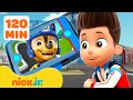 Paw Patrol | Ryder llama los cachorros de PAW Patrol a la torre de vigilancia | Nick Jr. en Español