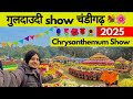 Guldaudi ( गुलदाउदी ) Show Chandigarh 2025 |  Chrysanthemum Show Chandigarh | Flower Show Chandigarh