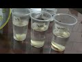 Potato Osmosis Experiment