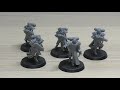 Sisters of Battle - Dominions - Review (WH40K)