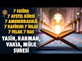 7 Fatiha 7 Ayetel Kürsi 7 Amenerrasulü 7 Kafirun 7 İhlas 7 Felak 7 Nas | Yasin, Rahman, Vakıa, Mülk