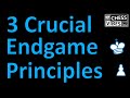 3 Chess Endgame Principles You Need To Know!