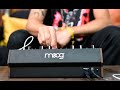 Moog DFAM | Percussion Synth Techniques with Baseck