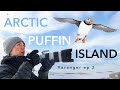 PUFFIN PHOTOGRAPHY in the ARCTIC ⎸ Varanger Expedition ep 2