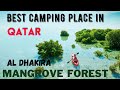 Al Dhakira Mangrove Forest qatar| camping in qatar| tenting| kayaking| fishing| BBQ grill| Alkhor
