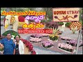 Udyan Utsav 2026 | Rashtrapati Nilayam Secunderabad | Flowers, Culture \u0026 Fun |Entry free