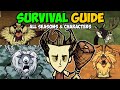 Essential Beginner Survival Guide (ALL Seasons \u0026 Characters) Don't Starve Together
