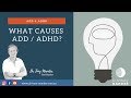 What causes ADD/ADHD? Perth psychiatrist Dr Mander explains