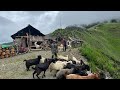 How Nepali Villagers Live Closely with Nature | Mountain Life IamSuman