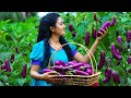 Sri Lankan Snacks with Farm Fresh Brinjals 🍆 Brinjal Curry \u0026 Fried Brinjals + Dragon Fruit Pudding