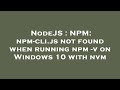 NodeJS : NPM: npm-cli.js not found when running npm -v on Windows 10 with nvm