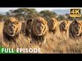 World's Deadliest FULL EPISODE | 4K UHD | Nature Animal Documentary