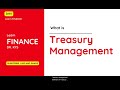 What is Treasury Management