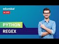 Python RegEx | Regular Expressions | Python Training | Edureka | Python Live - 1