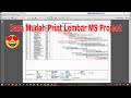 Easy Way to Print Sheets in Microsoft Project
