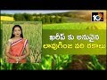 ఖరీప్ కు అనువైన లావుగింజ వరి రకాలు | Paddy Rice Variety | Matti Manishi | 10TV News