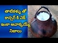 #PalmWine#thatikallu#plustv Amazing Health Benefits of Drinking Palm Wine|Thati Kallu Great Benefits