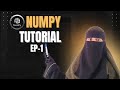 NumPy Tutorial in Hindi | Python NumPy for Beginners | Ep-1