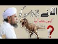 Allah Ne Dinosaur Ko Kyo Khatm Kya | ڈایناسور کو کیوں ختم کیا | Mufti Tariq Masood | Islamic Views |