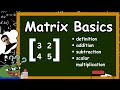 The VERY BASICS of Matrices.