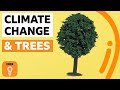 What if everyone planted a tree? | BBC Ideas