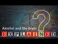 Alcohol and the Brain: Explained