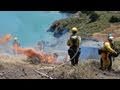 Fire and Butterflies: Science on the SPOT