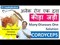 Many Diseases One Solution | Cordyceps | अनेक रोग एक दवा | Keeda Jadi | Himalayan Gold | SK Sharma