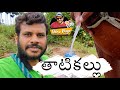 తాటి చెట్టు నుండి కల్లు ఎలా పడుతుంది.... |THATI KALLU| Thiru vlogs 2020