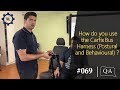 Q\u0026A #069 - How do you use the Carfix Bus Harness (Postural and Behavioural)