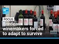 Winemakers of France's Bordeaux region forced to adapt to survive • FRANCE 24 English