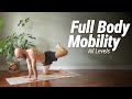 20 Minute Full Body Mobility Workout | All Levels | No Talking, No Repeats