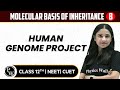 Molecular Basis of Inheritance 08 | Human Genome Project | Pure English | 12th / NEET/CUET