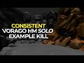 Consistent magic Solo HM Vorago kills for Vitalis (14:27.6)