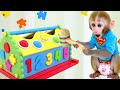 Macaco Bon Bon e a Jornada Alegre Com os Amigos - MACACO BON BON