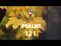 Psalms 121 | English Audio Bible | AFCM | NRSV Catholic Edition